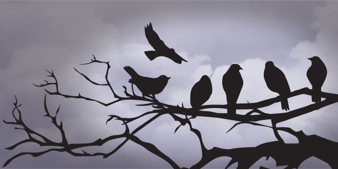 Image result for crows on a branch